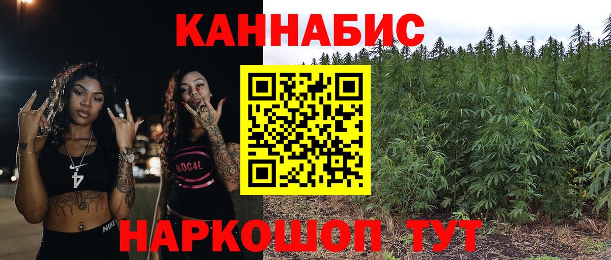 Бошки Шишки семена Чита